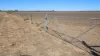 "Tooee" Barwon Highway, Goondiwindi, Qld 4390-Image