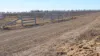 "Tooee" Barwon Highway, Goondiwindi, Qld 4390-Image