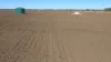 "Tooee" Barwon Highway, Goondiwindi, Qld 4390-Image