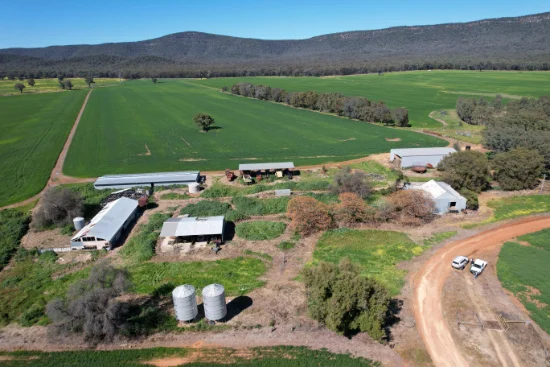 "Torwood" 799  Eualdrie Road, Grenfell, NSW 2810