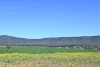 "Torwood" 799  Eualdrie Road, Grenfell, NSW 2810-Image