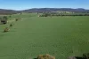 "Torwood" 799  Eualdrie Road, Grenfell, NSW 2810-Image