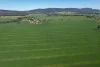 "Torwood" 799  Eualdrie Road, Grenfell, NSW 2810-Image