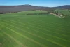 "Torwood" 799  Eualdrie Road, Grenfell, NSW 2810-Image