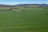 "Torwood" 799  Eualdrie Road, Grenfell, NSW 2810-Image