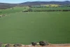 "Torwood" 799  Eualdrie Road, Grenfell, NSW 2810-Image
