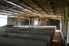 "Torwood" 799  Eualdrie Road, Grenfell, NSW 2810-Image