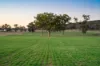 'Tullatoola' 798 Packham Drive, Molong, NSW 2866