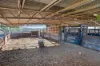 'Tullatoola' 798 Packham Drive, Molong, NSW 2866-Image
