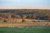 'Tullatoola' 798 Packham Drive, Molong, NSW 2866-Image