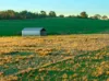 'Tullatoola' 798 Packham Drive, Molong, NSW 2866-Image