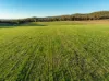 'Tullatoola' 798 Packham Drive, Molong, NSW 2866-Image
