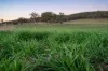 'Tullatoola' 798 Packham Drive, Molong, NSW 2866-Image
