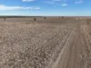 Tyrone 13657 Castlereagh Highway, Walgett, NSW 2832-Image