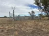 Tyrone 13657 Castlereagh Highway, Walgett, NSW 2832-Image