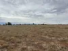 Tyrone 13657 Castlereagh Highway, Walgett, NSW 2832-Image