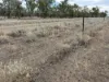 Tyrone 13657 Castlereagh Highway, Walgett, NSW 2832-Image