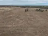 Tyrone 13657 Castlereagh Highway, Walgett, NSW 2832-Image
