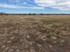 Tyrone 13657 Castlereagh Highway, Walgett, NSW 2832-Image