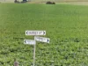 'Vater Family Aggregation', Saddleworth SA 5413-Image