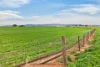 'Vater Family Aggregation', Saddleworth SA 5413-Image