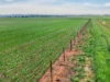 'Vater Family Aggregation', Saddleworth SA 5413-Image