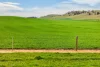 'Vater Family Aggregation', Saddleworth SA 5413-Image