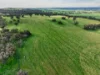 'Vater Family Aggregation', Saddleworth SA 5413-Image