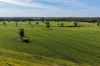 "Walangle" 84 Ercildoune Lane, Forbes NSW 2871-Image
