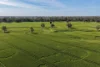 "Walangle" 84 Ercildoune Lane, Forbes NSW 2871-Image