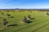"Walangle" 84 Ercildoune Lane, Forbes NSW 2871-Image