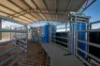 "Walangle" 84 Ercildoune Lane, Forbes NSW 2871-Image