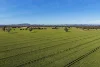 "Walangle" 84 Ercildoune Lane, Forbes NSW 2871-Image