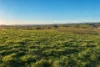 Walmsley Road, Gunning, NSW 2581-Image