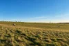 Walmsley Road, Gunning, NSW 2581-Image