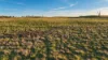 Walmsley Road, Gunning, NSW 2581-Image