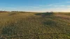 Walmsley Road, Gunning, NSW 2581-Image