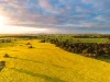 "Wareenup" Newton Road, Cranbrook WA 6321-Image