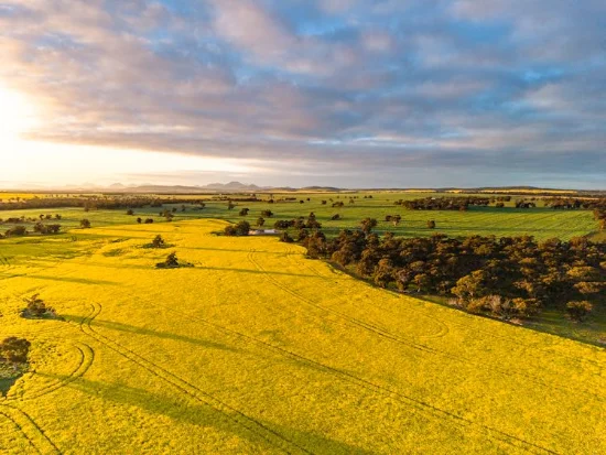 "Wareenup" Newton Road, Cranbrook WA 6321-Image