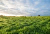 "Wareenup" Newton Road, Cranbrook WA 6321-Image