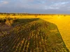 "Wareenup" Newton Road, Cranbrook WA 6321-Image