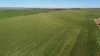 'Wattle Grove' 339 Lance Road, Buckleboo, SA 5641-Image