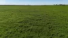 'Wattle Grove' 339 Lance Road, Buckleboo, SA 5641-Image