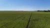 'Wattle Grove' 339 Lance Road, Buckleboo, SA 5641-Image