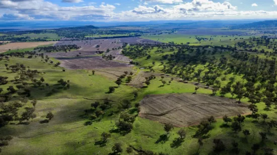"Werribon" 201 Warrah Creek Road, Willow Tree, NSW 2339