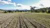 "Werribon" 201 Warrah Creek Road, Willow Tree, NSW 2339-Image