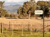 "Werribon" 201 Warrah Creek Road, Willow Tree, NSW 2339-Image
