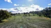 "Werribon" 201 Warrah Creek Road, Willow Tree, NSW 2339-Image