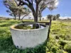 "Werribon" 201 Warrah Creek Road, Willow Tree, NSW 2339-Image