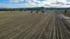 "Werribon" 201 Warrah Creek Road, Willow Tree, NSW 2339-Image
